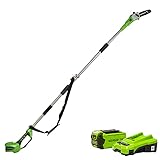 Greenworks Podador de altura G40PS20, Li-Ion 40V 20cm longitud de...